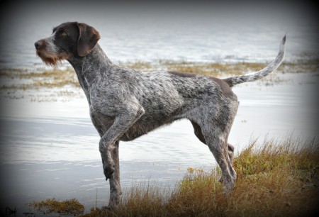 Isi i  positur for fotografen.